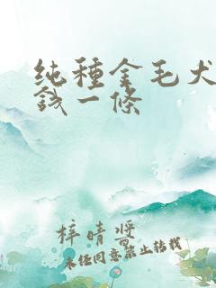 纯种金毛犬多少钱一条