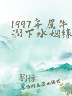 1997年属牛涧下水姻缘在哪年