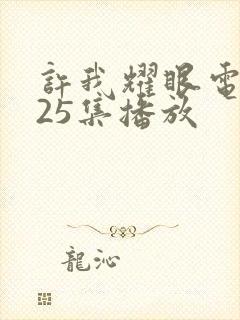 许我耀眼电视剧25集播放