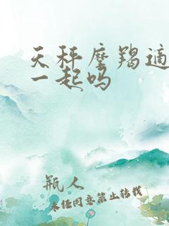 天秤摩羯适合在一起吗