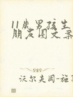 11岁男孩生日朋友圈文案