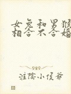 女兔和男猴的属相合不合婚姻