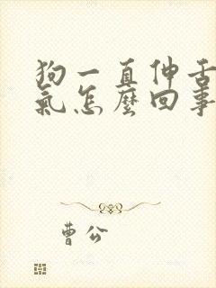 狗一直伸舌头喘气怎么回事