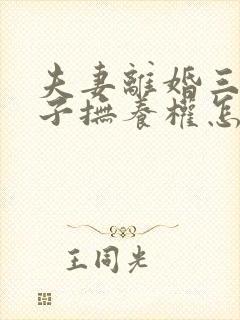 夫妻离婚三个孩子抚养权怎么判定