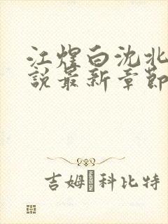 江煜白沈北棠小说最新章节更新内容