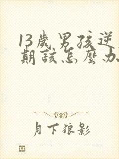 13岁男孩逆反期该怎么办