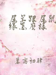 属羊跟属鼠的姻缘怎么样