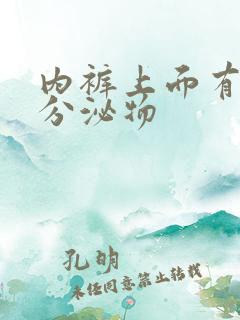 内裤上面有黄色分泌物