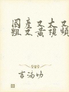 国产又大又爽又粗又黄视频