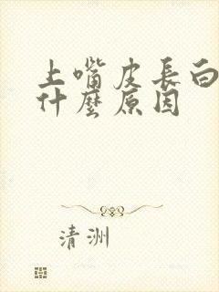 上嘴皮长白点是什么原因