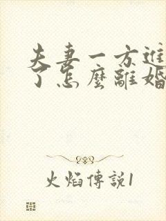 夫妻一方进监狱了怎么离婚