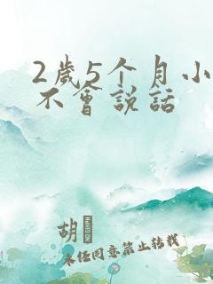 2岁5个月小孩不会说话