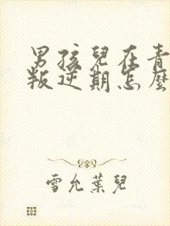 男孩儿在青春期叛逆期怎么沟通