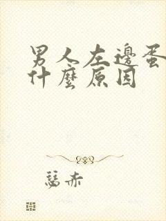 男人左边蛋疼是什么原因