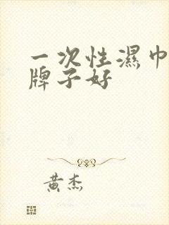 一次性湿巾什么牌子好