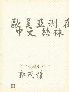 欧美亚洲 在线 中文 丝袜