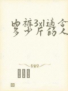 内裤3xl适合多少斤的人穿