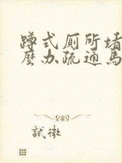 蹲式厕所堵了怎么办疏通马桶有妙招