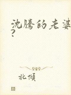 沈腾的老婆是谁?