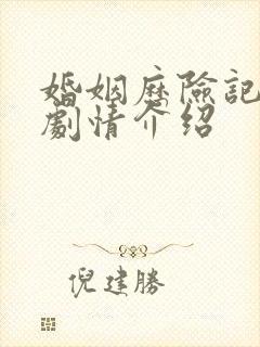 婚姻历险记分集剧情介绍