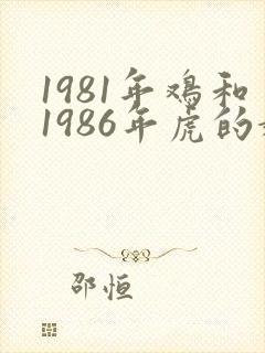 1981年鸡和1986年虎的婚姻怎样