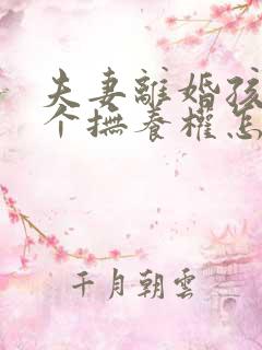 夫妻离婚孩子两个抚养权怎么判定