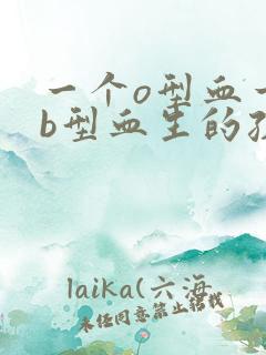 一个o型血一个b型血生的孩子是什么血型