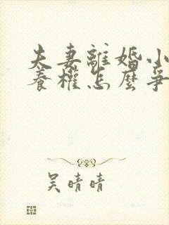 夫妻离婚小孩抚养权怎么争取