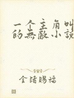 一个主角叫林天的无敌小说