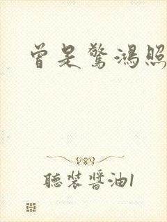 曾是惊鸿照影来