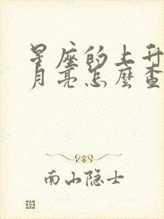 星座的上升太阳月亮怎么查