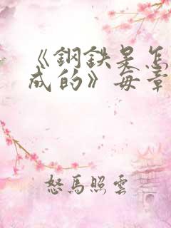 《钢铁是怎样炼成的》每章概括100字