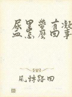 尿里带有凝固的血怎么回事