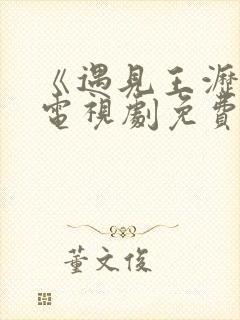 《遇见王沥川》电视剧免费观看