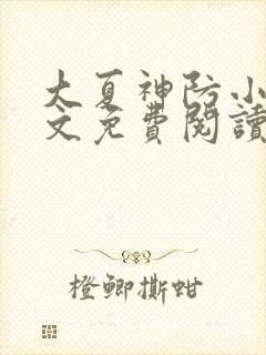 大夏神防小说全文免费阅读