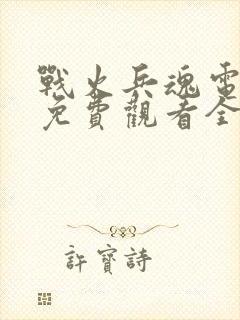 战火兵魂电视剧免费观看全集高清