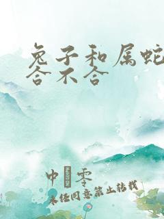 兔子和属蛇属相合不合