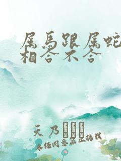 属马跟属蛇的属相合不合