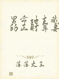 男命地支藏干里的正财算妻子吗