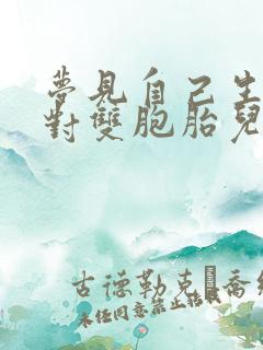 梦见自己生了一对双胞胎儿子