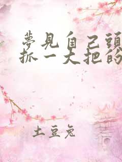 梦见自己头发一抓一大把的掉周公解梦