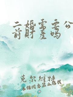 二婚需要公证婚前财产吗