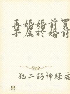 再婚婚前买的房子属于婚前财产吗