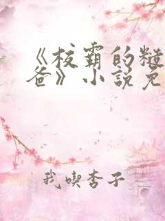 《校霸的糙汉爸爸》小说免费阅读