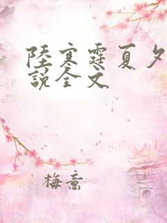 陆寒霆夏夕绾小说全文