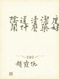 阴道清洁度4度用什么药好