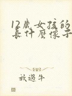 12岁女孩的胸长什么像子