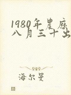 1980年农历八月三十出生人命运