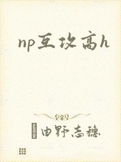 np互攻高h