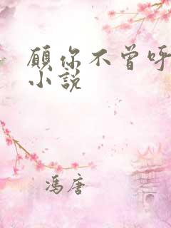 愿你不曾呼唤我小说